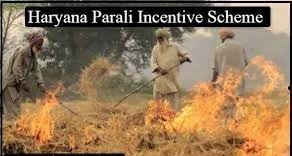 haryana parali scheme