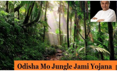 Odisha Mo Jungle Jami Yojana 2023
