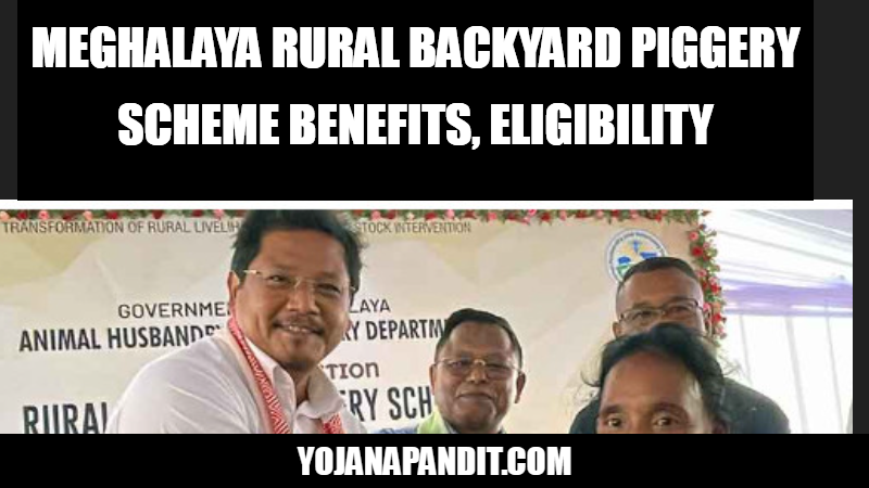 Meghalaya Rural Backyard Piggery Scheme 2023
