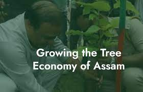 Assam Amrit Brikshya Andolan Registration 